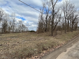 0 Fisher Ridge Rd Tract 5, Fleming, OH 45729