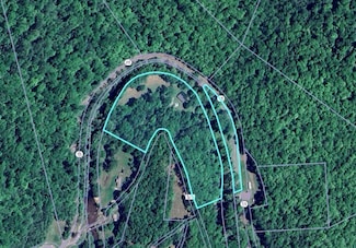 856 Removal Rd, Diana, WV 26217