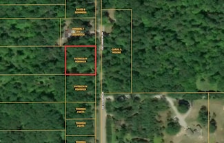 Lot 8 McMurphy Rd, Atlanta, MI 49709