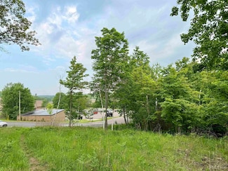1157 Tierney St, Marquette, MI 49855