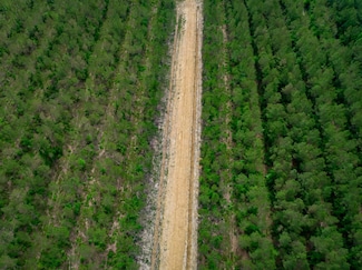 2207 S Carolina 66, Loris, SC 29569