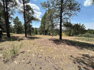 96 Woodridge Cir, Pagosa Springs, CO 81147