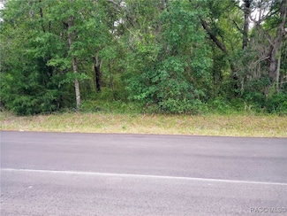 3218 E Fawn Ct, Inverness, FL 34452