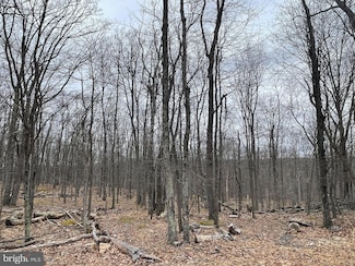 504 Hay Stack Dr, North Union Township, PA 17985