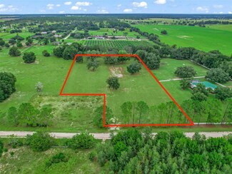 00 SE 66 Place, Morriston, FL 32668