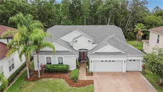 10515 Canary Isle Dr, Tampa, FL 33647