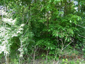 3 Mckaig Rd, Trenton, GA 30752