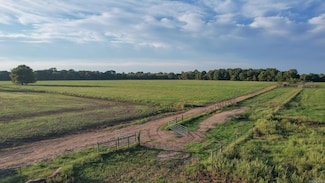 TBD Lr 21, Ashdown, AR 71822