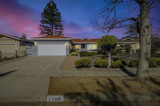7109 Bark Ln, San Jose, CA 95129