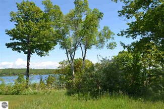 #4 E Page Ln, Omena, MI 49674