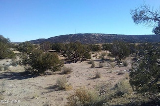 4596 El Dorado Rd, Snowflake, AZ 85937