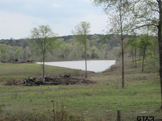 38.8 AC U S 84, Laneville, TX 75667