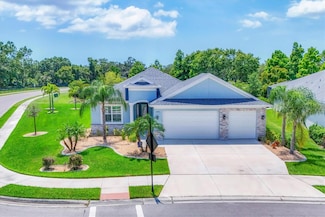 12755 Rainwashed Loop, Parrish, FL 34219
