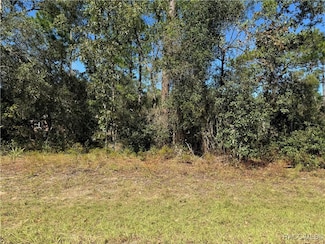 3671 W Galtonia Ln, Citrus Springs, FL 34433