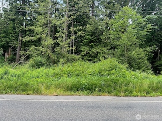 0 Cain Lake Rd Unit NWM2393392, Sedro Woolley, WA 98284