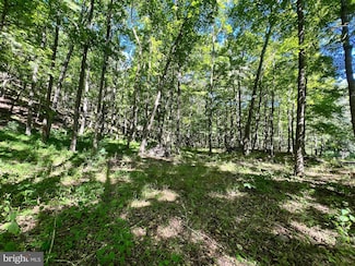 TR13 High Knob Rd, Old Fields, WV 26845
