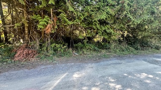 TL-4900 SW Kamela Place, Waldport, OR 97394