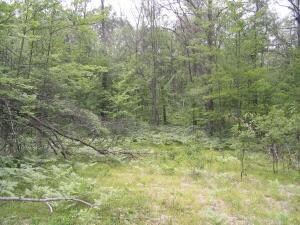 0 Platypus Trail Unit 30 Acres 293970, Frederic, MI 49733