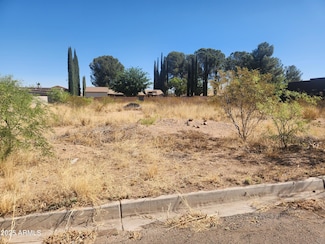 2804 E Borane St Unit 15, Douglas, AZ 85607