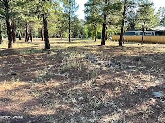 5151 Saddle Strap Way, Pinetop Country Club, AZ 85935