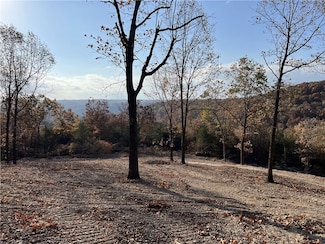 21.73 AC Jackson Ridge, Omaha, AR 72662