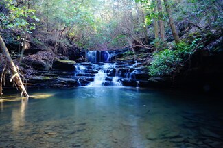 703 Wash Roberts Rd, Mc Minnville, TN 37110