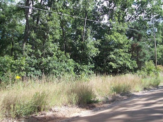 Lot 137 Maryland St, Greenwood Township, MI 48625