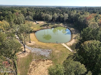 199 Alliston Farm Rd, Florence, MS 39073