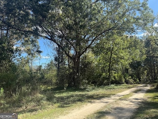 0 Old Leefield Rd Unit 10626397, Brooklet, GA 30415