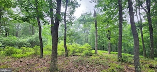 0 Normas Way Unit 11 MDGA2008486, Mc Henry, MD 21541