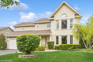 805 Horatio Blvd, Buffalo Grove, IL 60089