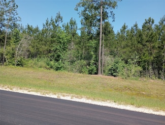 15785 Woodlife Rd, Willis, TX 77378