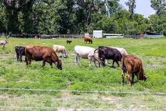 21455 Us Highway 98, Dade City, FL 33523