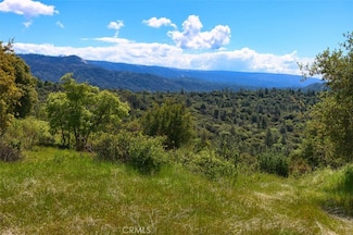 0 155.3 AC Old Yosemite Rd, Oakhurst, CA 93644