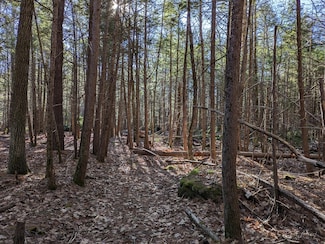 Lot B Willis Rd, Phillipston, MA 01331