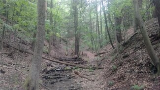 6705 Canadice Lake Rd, Honeoye, NY 14471
