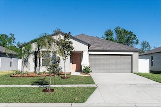 13355 Willow Bluestar Loop, Riverview, FL 33579