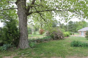 0 Hc 33 Unit 135079, Compton, AR 72724