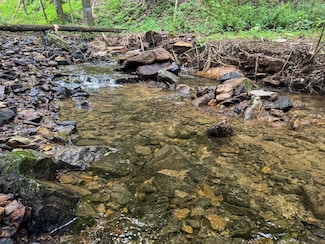 Tbd Laurel Dale Rd, New Creek, WV 26743