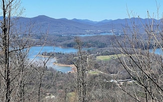 LOT 14 Mountain Harbour Dr, Hayesville, NC 28904