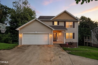 315 Henrys Ln, Bristol, VA 24202