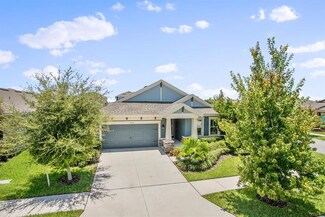 7509 Lantern Park Ave, Apollo Beach, FL 33572