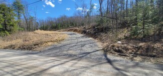 0 Jones Mountain Rd, Mifflinburg, PA 17844