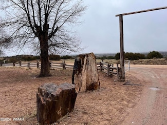 518 Pine Springs Rd, Sanders, AZ 86512