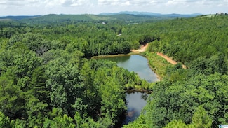 11.54 Acres Tuck-A-way Dr Unit 24, Piedmont, AL 36272