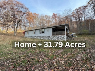 1587 Surveyor Branch Rd, Nimitz, WV 25978