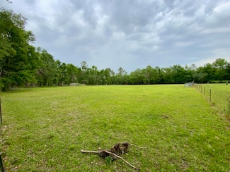 VACANT NE Bellville Rd, Pinetta (Madison County), FL 32350