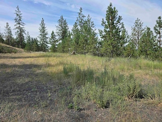 6499 Syringa Way, Suncrest, WA 99026