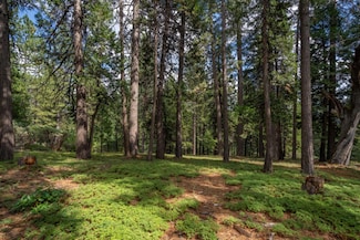 27460 State Highway 88, Pioneer, CA 95666