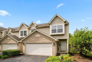 918 Windstone Ct, Lake In the Hills, IL 60156